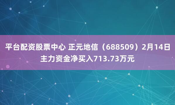 平台配资股票中心 正元地信（688509）2月14日主力资金净买入713.73万元
