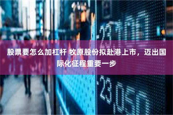 股票要怎么加杠杆 牧原股份拟赴港上市，迈出国际化征程重要一步
