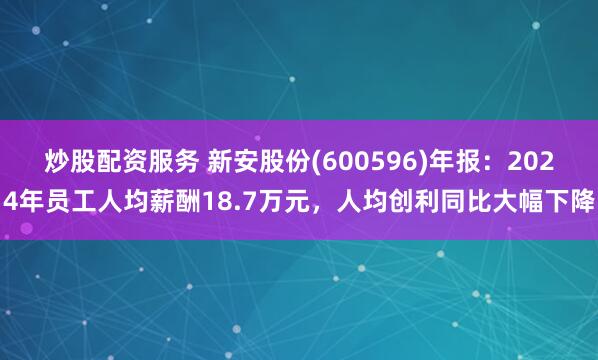 炒股配资服务 新安股份(600596)年报：2024年员工人均薪酬18.7万元，人均创利同比大幅下降