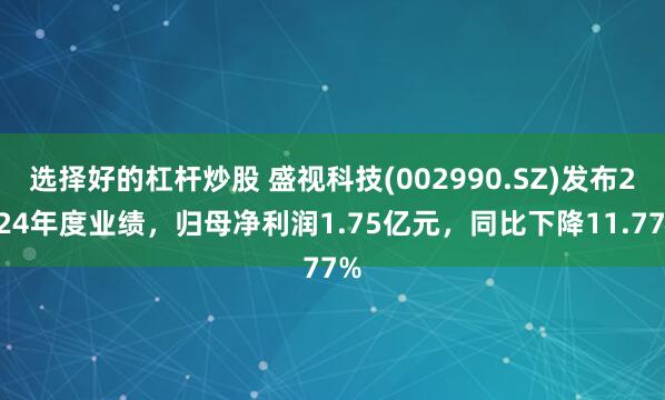 选择好的杠杆炒股 盛视科技(002990.SZ)发布2024年度业绩，归母净利润1.75亿元，同比下降11.77%