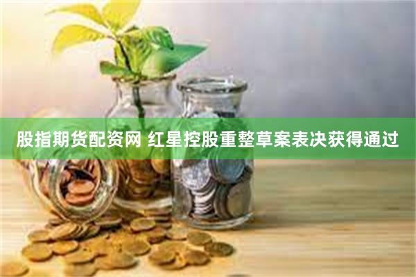 股指期货配资网 红星控股重整草案表决获得通过