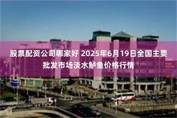 股票配资公司哪家好 2025年6月19日全国主要批发市场淡水鲈鱼价格行情
