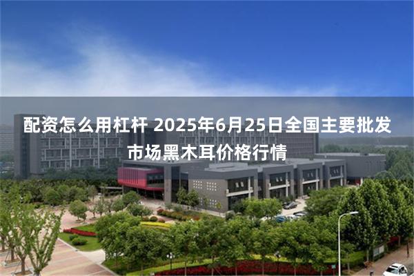 配资怎么用杠杆 2025年6月25日全国主要批发市场黑木耳价格行情