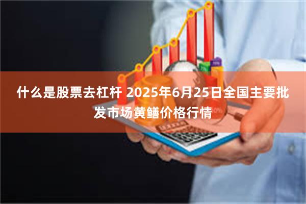 什么是股票去杠杆 2025年6月25日全国主要批发市场黄鳝价格行情